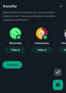 whatsapp kanal bulma