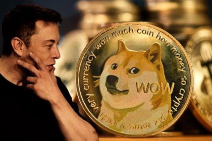 Dogecoin Yükselecek mi Yoksa Düşecek mi?